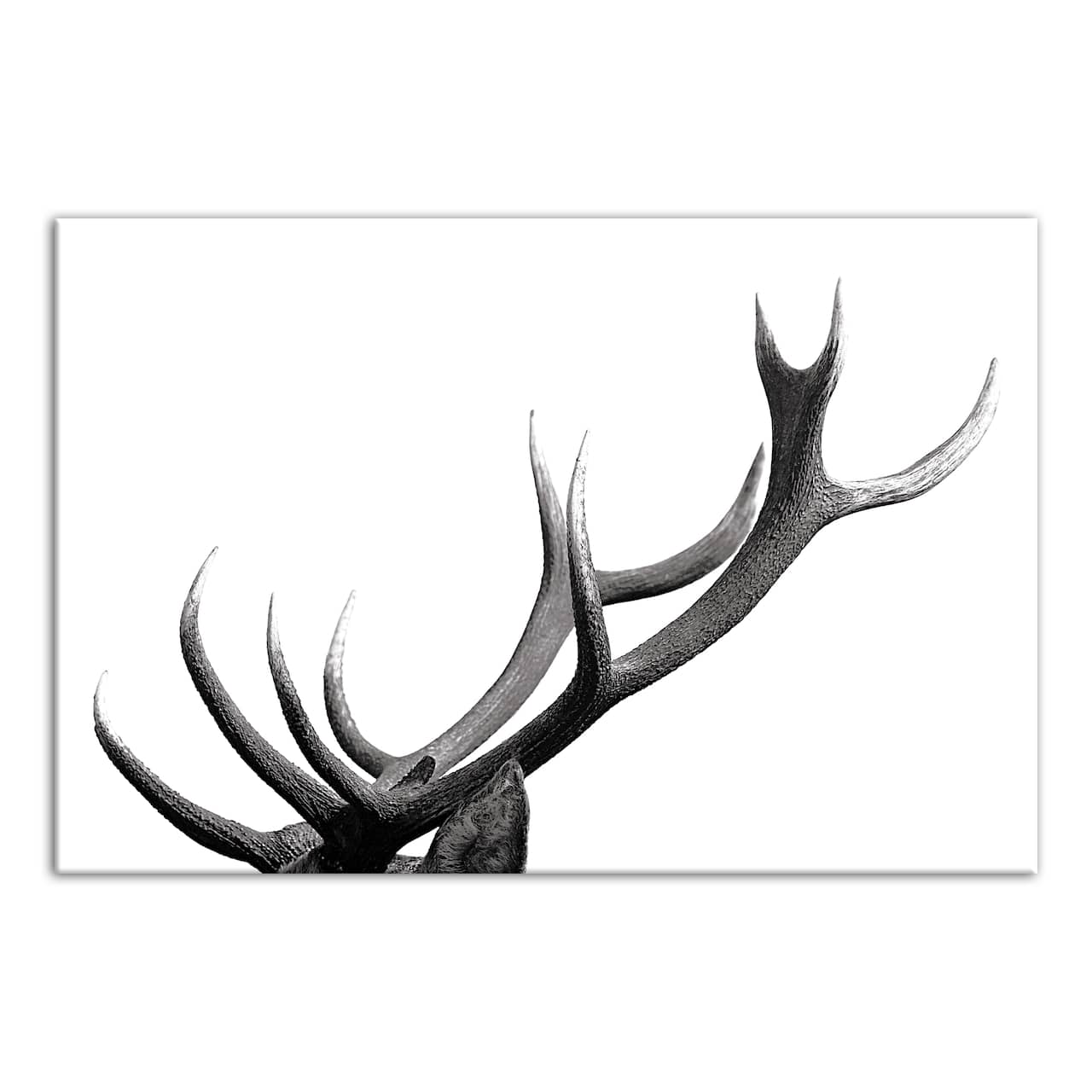 Modern Antlers 20" x 30" Canvas Wall Art